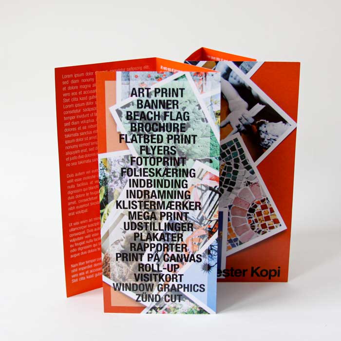Flyer 1 1
